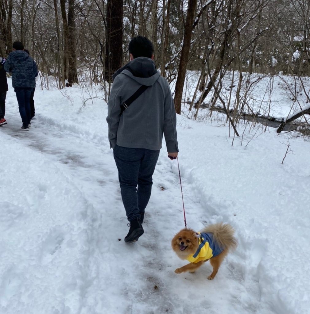 愛犬と行く軽井沢 実際に行ってみた 雨の日でもおすすめスポット６選 Part1 モコブログ ポメラニアンの子育て奮闘記