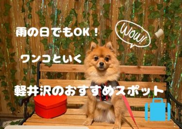 愛犬と行く軽井沢！実際に行ってみた！雨の日でもおすすめスポット６選！part1