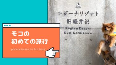 何がいるの 愛犬との旅行に必要な持ち物リスト モコブログ ポメラニアンの子育て奮闘記