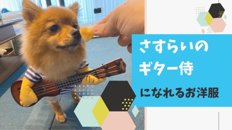 可愛すぎる 愛犬のお洋服 さすらいのギター侍編 モコブログ ポメラニアンの子育て奮闘記