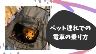 電車にも乗れる 愛犬用ペットカート コムペット ミリミリeg をレビュー モコブログ ポメラニアンの子育て奮闘記