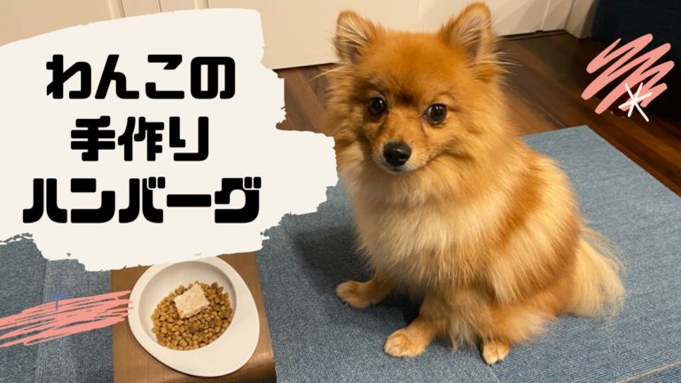 簡単なのに美味しい 手作りで安心の愛犬用ハンバーグ モコブログ ポメラニアンの子育て奮闘記
