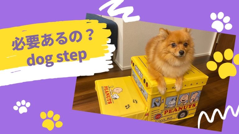 愛犬にドッグステップって必要 メリットや使い方を解説 モコブログ ポメラニアンの子育て奮闘記