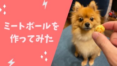 簡単でヘルシー！愛犬に鶏肉とおからのミートボールを作ってみた☆