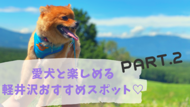愛犬と水族館に入れる⁉︎軽井沢で自然と触れ合えるおすすめスポット+9選！part2