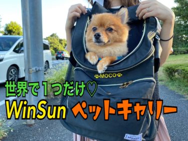 愛犬の名前が刺繍できる！WinSunペットキャリーを使ってみたレビュー☆