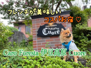 コスパ最強⁉︎フレンチが楽しめるペットホテルCARO FORESTA 伊豆高原 Cuoreに泊まってみた☆