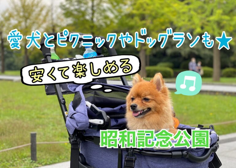 愛犬も飼い主さんも大満足 昭和記念公園に行ってみた モコブログ ポメラニアンの子育て奮闘記