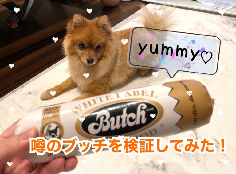 ブッチは本当に美味しい 値段や健康面への安全性を検証してみた モコブログ ポメラニアンの子育て奮闘記