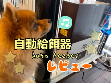 犬の自動給餌器マルカンの《Auto Feeder》を実際に使ってみたレビュー☆