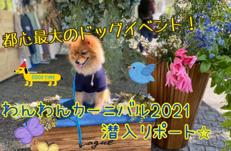 代々木公園 わんわんカーニバル21へ行ってきた 都内最大級のドッグイベントの潜入リポート モコブログ ポメラニアンの子育て奮闘記
