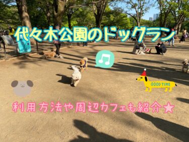 近隣の散策も楽しい！代々木公園ドッグランで愛犬と遊ぼう！登録方法や料金や周辺カフェなども紹介！