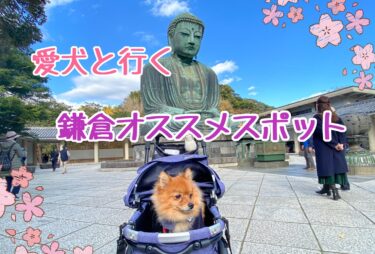 愛犬と鎌倉へ行ってきた！犬と一緒に行けるお勧めスポット11選を紹介☆
