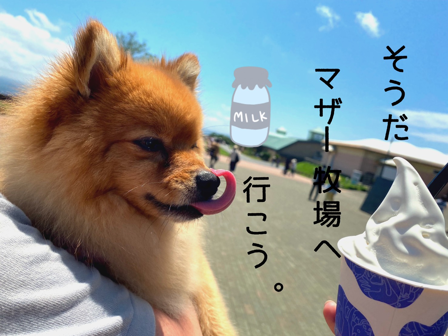 色んな体験ができる マザー牧場 へ愛犬と行こう モコブログ ポメラニアンの子育て奮闘記