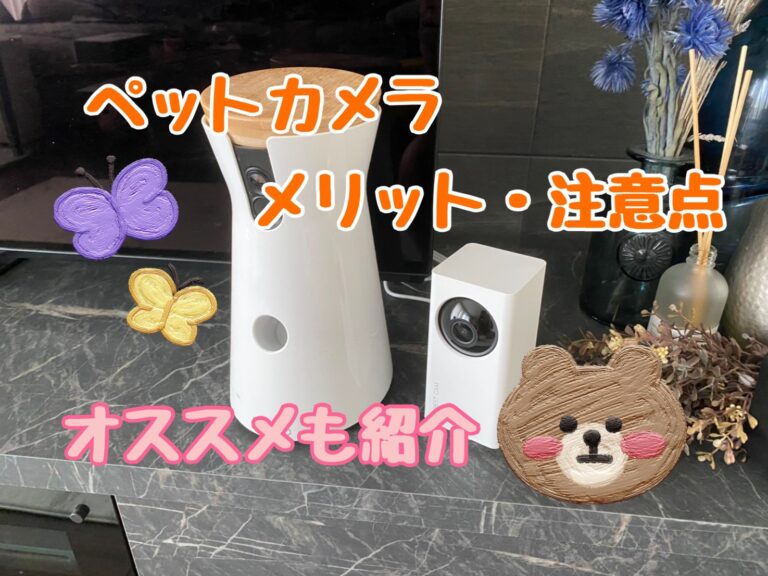 ペットカメラのメリット 注意点 選び方やお勧めペットカメラをご紹介 モコブログ ポメラニアンの子育て奮闘記
