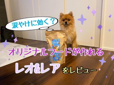 『レオ＆レア』（Leo&Lea）は涙やけに良い？オリジナルドッグフードが作れる『レオ＆レア』を実際に頼んでみたレビュー☆