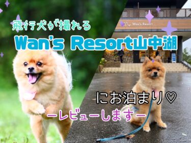 飛行機犬の写真が撮れるかも⁉︎ Wan’s Resort 山中湖に泊まってみた☆