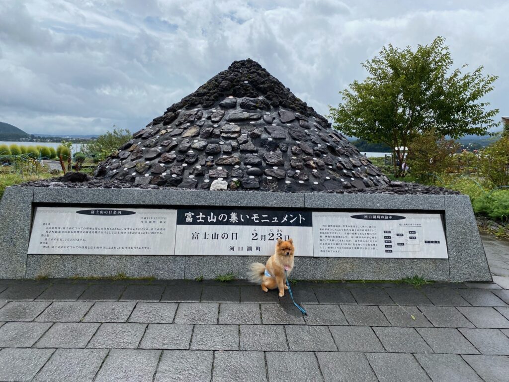 河口湖 山中湖周辺で愛犬と遊べるスポット15選 雨の日もokな施設も紹介 モコブログ ポメラニアンの子育て奮闘記