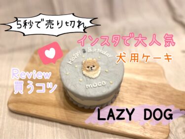 ５秒で売り切れる⁉︎インスタで超人気の『LAZY DOG』で誕生日ケーキを頼んでみた☆レビューと買うコツも紹介！