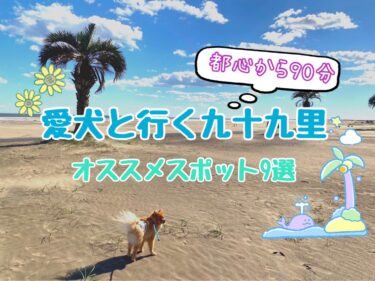 愛犬と遊べる九十九里のお勧め観光スポット9選☆雨の日OKなスポットも紹介☆