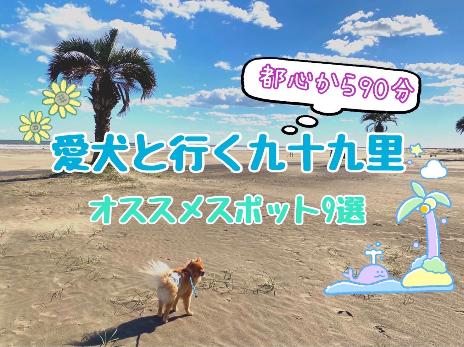愛犬と遊べる九十九里のお勧め観光スポット9選 雨の日okなスポットも紹介 モコブログ ポメラニアンの子育て奮闘記