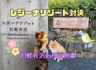 どんな違いがある？徹底比較！レジーナリゾート旧軽井沢 vs 伊豆無鄰☆