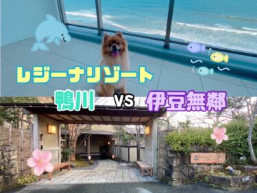 どっちにする？徹底比較！レジーナリゾート鴨川 vs 伊豆無鄰☆