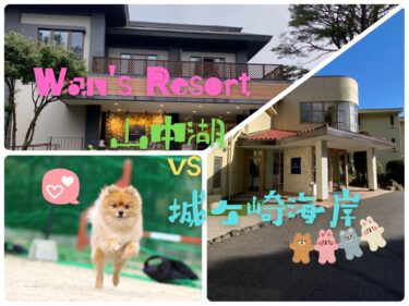 どこが違う？徹底比較！Wan’s Resort 山中湖 vs 城ヶ崎海岸☆