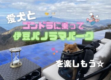 リードはNG？伊豆パノラマパークで愛犬とゴンドラに乗って富士山を見よう☆