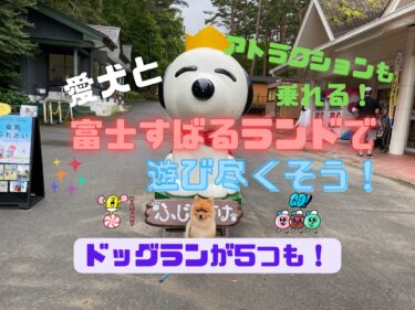ドッグランが5つもある⁉︎愛犬と富士すばるランドで1日遊び倒そう☆