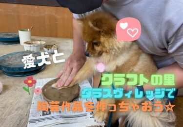 愛犬と陶芸ができる！クラフトの里 ダラスヴィレッジでオリジナル陶芸を楽しもう☆
