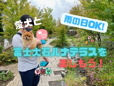 雨の日OK！愛犬と富士大石ハナテラスで河口湖を満喫しよう☆