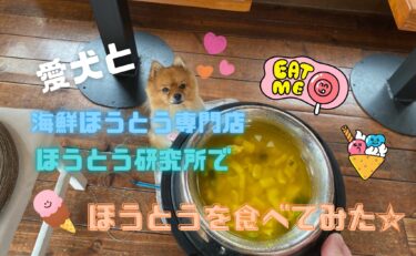 愛犬もほうとうを食べれる⁉︎海鮮ほうとう専門店 ほうとう研究所に行ってみた☆