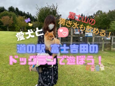 愛犬と「道の駅 富士吉田」でドッグランと富士山の湧き水を楽しもう☆
