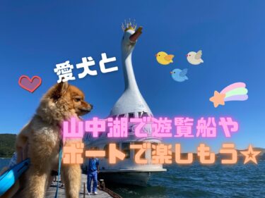 クレートは必須⁉︎愛犬と山中湖で遊覧船「白鳥の湖」とスワンボートを楽しもう☆