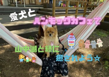 愛犬とPICA山中湖ヴィレッジの「ハンモックカフェ」でゆったりとカフェを楽しもう☆