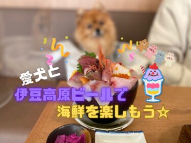 リードで入れる？愛犬と「伊豆高原ビール」で海鮮を堪能しよう☆