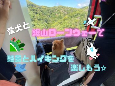 クレートは必要？愛犬と「鋸山ロープウェー」で絶景の地獄覗きを体験しよう☆