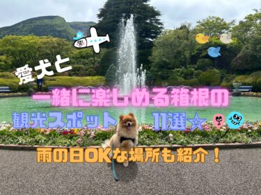 箱根で愛犬と一緒に楽しめるスポット11選☆雨の日OKなスポットも紹介！