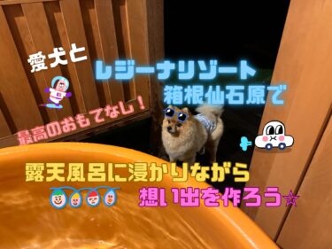 全室客室露天風呂付き⁉︎「レジーナリゾート箱根仙石原」に泊まってみたレビュー☆