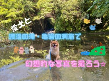 「濃溝の滝」は犬OKで駐車場はある？SNSで話題の「濃溝の滝」の魅力を紹介☆