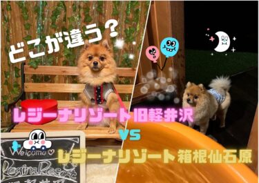 どこが違う？徹底比較！レジーナリゾート旧軽井沢 vs 箱根仙石原☆